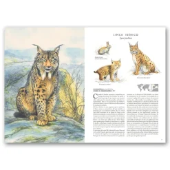 Atlas de animales en peligro de extinción