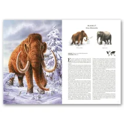 Atlas de animales extintos en nuestra época