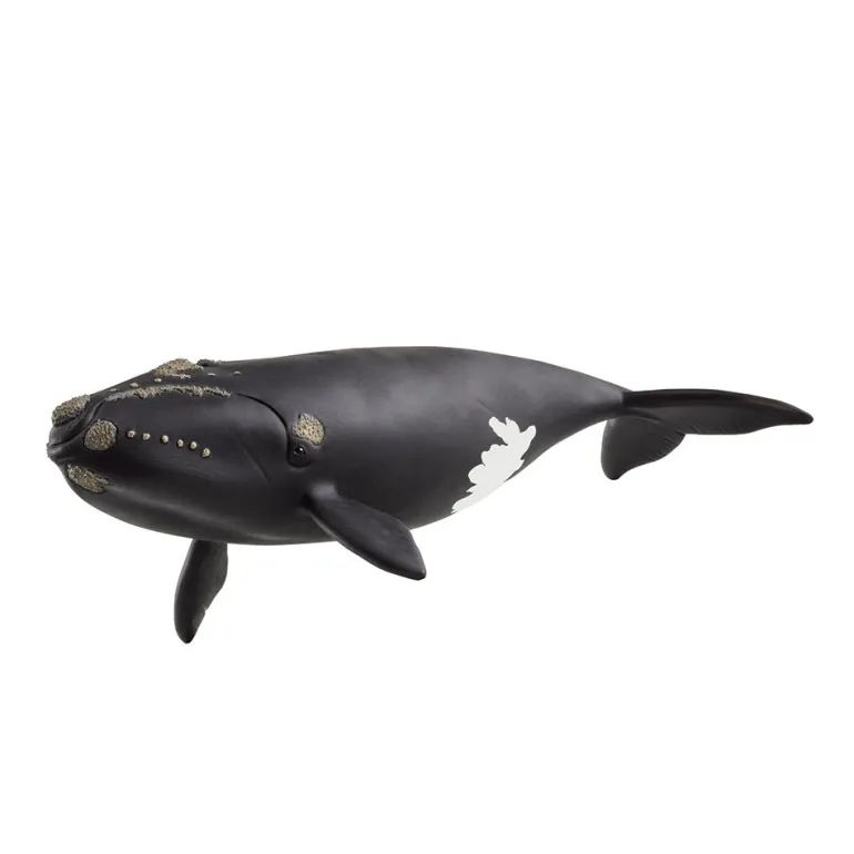 Ballena franca glacial. Schleich