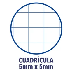 Bloc A4 cuadro 5mm. 150hj tapa extradura Oxford