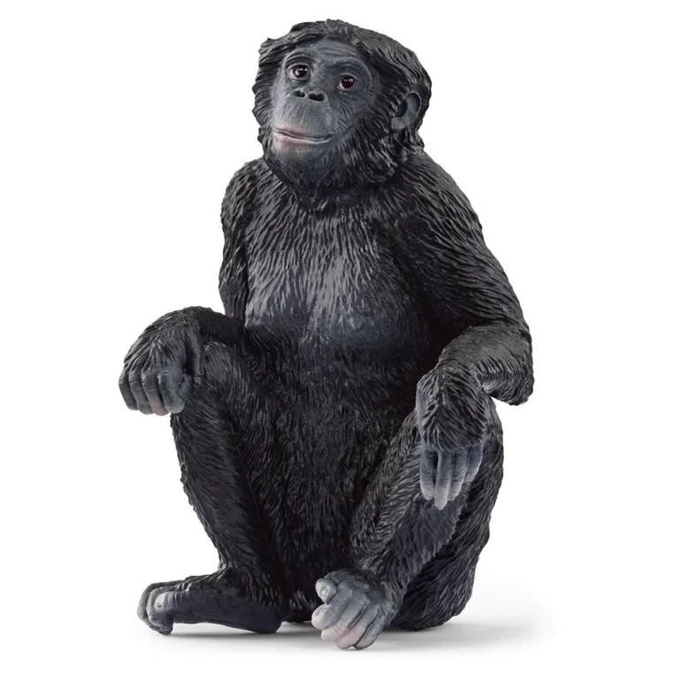 Bonobo hembra. Schleich