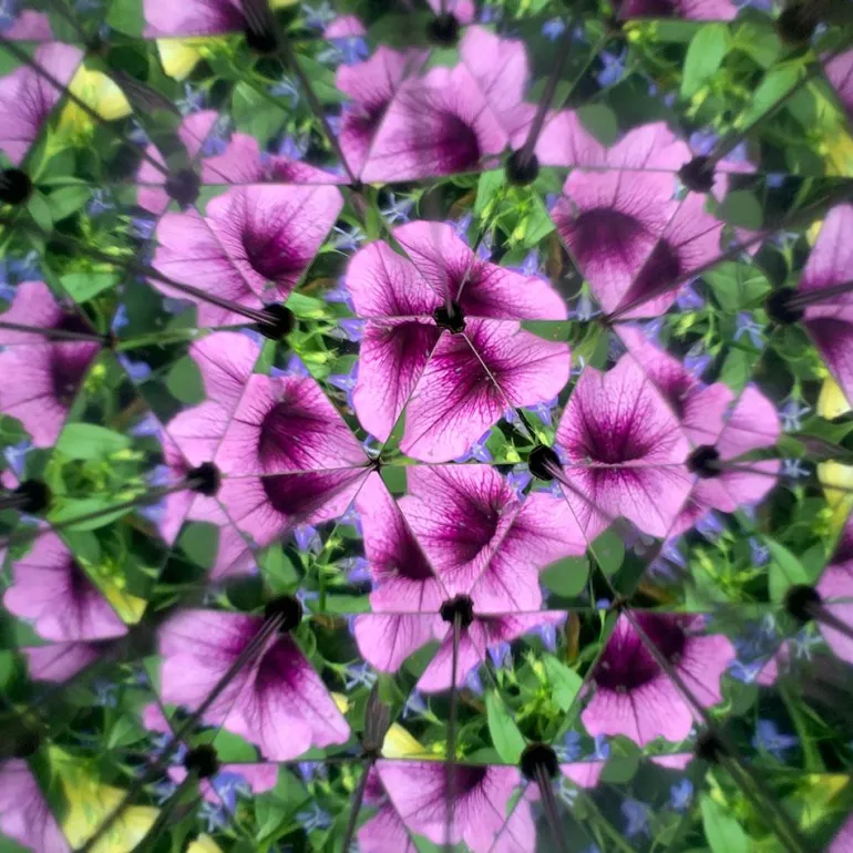 Caleidoscopio Huckleberry