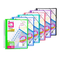 Carpeta A4 PP 40 fundas extraíbles Remove colores surtidos