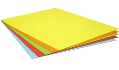 Cartulina pliego 25 unidades 50x65cm 180gr.