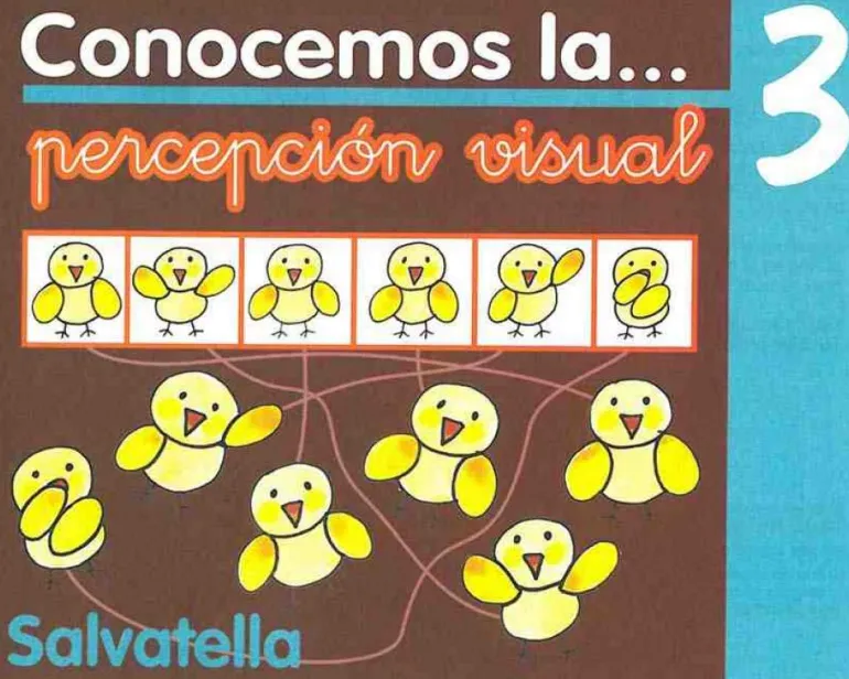 Conocemos percepción visual 3