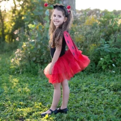 Disfraz mariquita 4-6 años