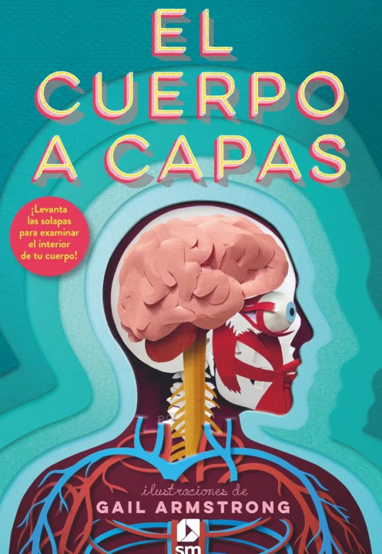El cuerpo a capas