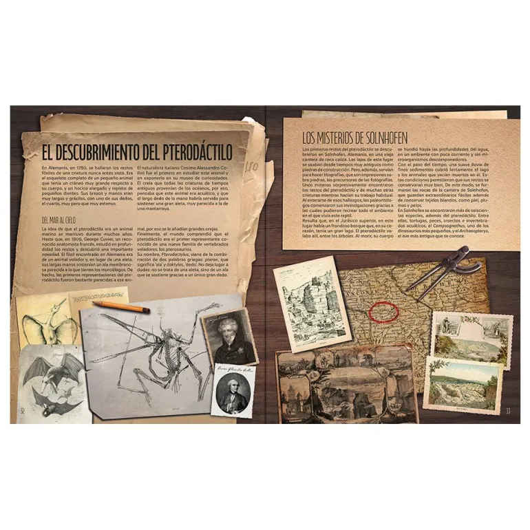 El mundo del Pterodáctilo