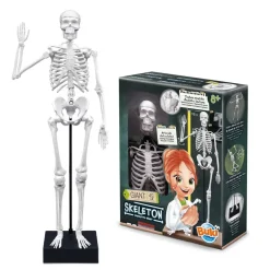 Esqueleto 45cm para ensamblar