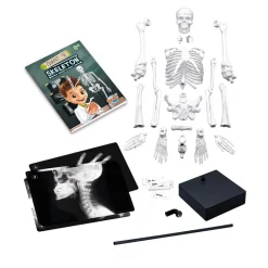 Esqueleto 45cm para ensamblar