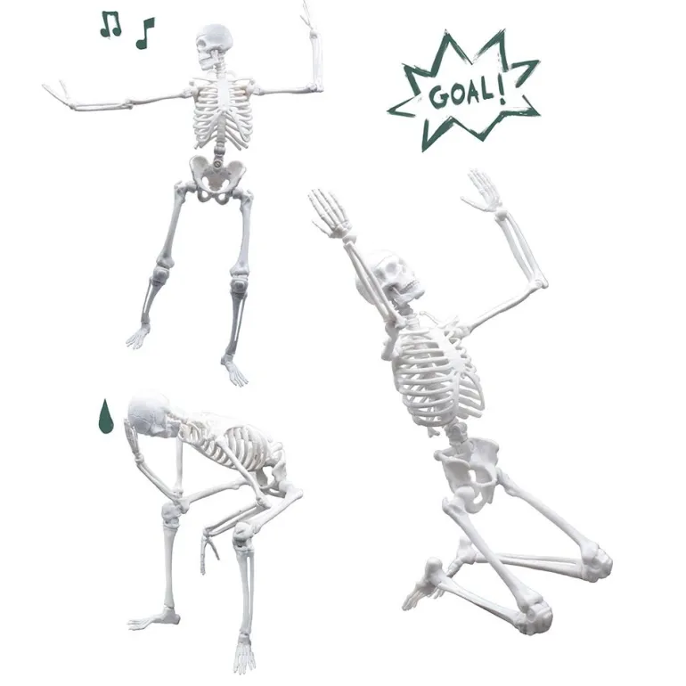 Esqueleto 45cm para ensamblar