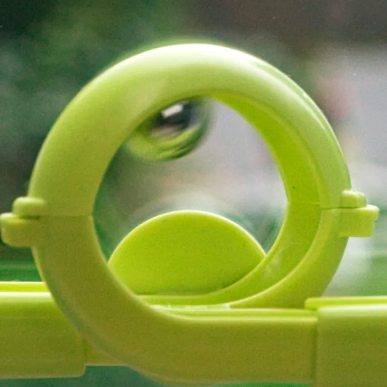 Gecko Run ampliación looping