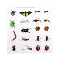 Gomets insectos 2 láminas