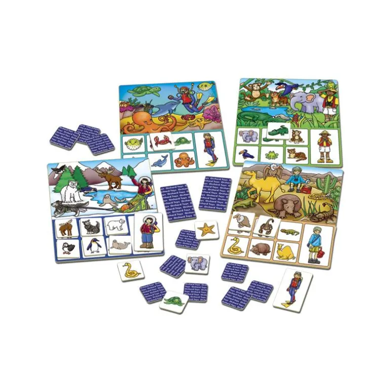 Juego de loto Where do I live?