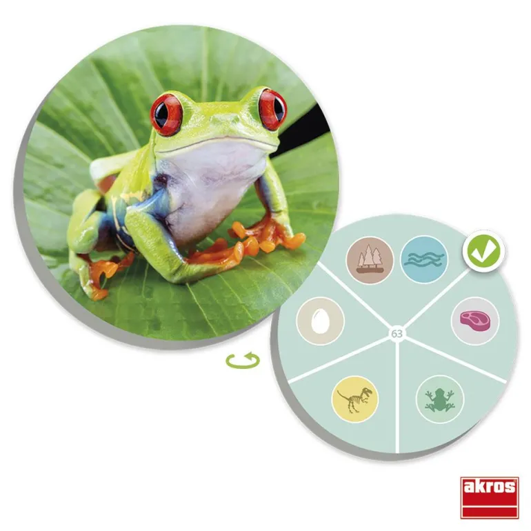 Juego de mesa El mundo animal: descubre y clasifica