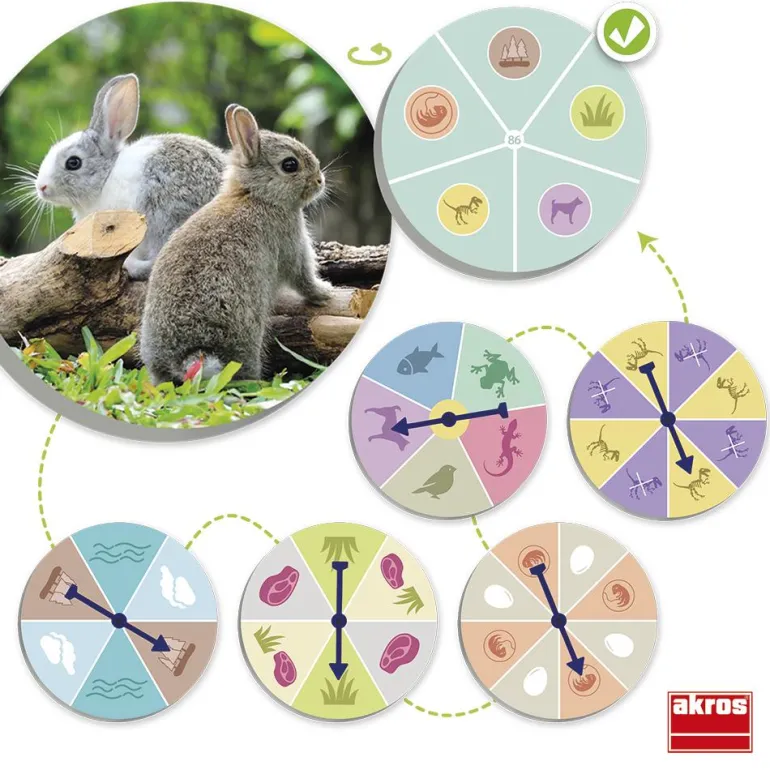 Juego de mesa El mundo animal: descubre y clasifica