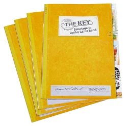 Juego de mesa The key: Sabotaje en el parque de atracciones