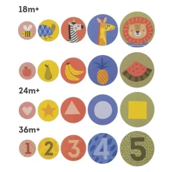 Juego evolutivo Escondite 4 en 1