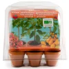 Kit de cultivo 6 mini macetas tomates bio.