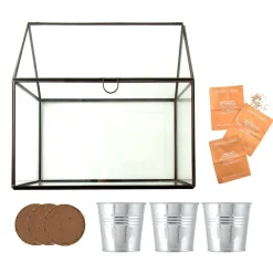 Kit de cultivo invernadero cristal tomates bio con 3 macetas metal