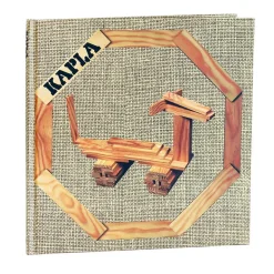 Libro 4 ideas Kapla amarillo animales