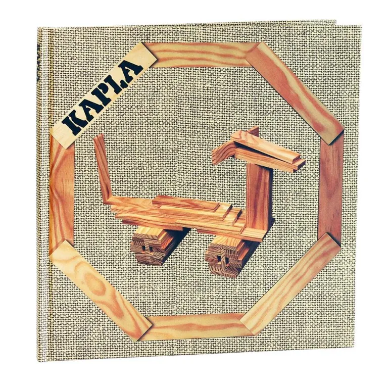 Libro 4 ideas Kapla amarillo animales