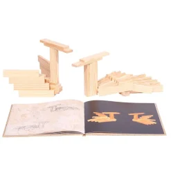 Libro 4 ideas Kapla amarillo animales