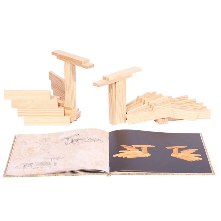 Libro 4 ideas Kapla amarillo animales