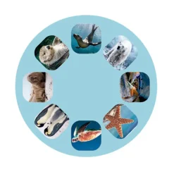 Linterna y proyector animales marinos