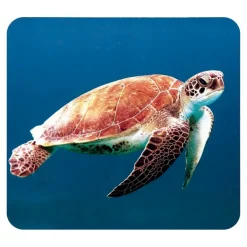 Linterna y proyector animales marinos