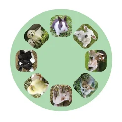 Linterna y proyector bebés animales