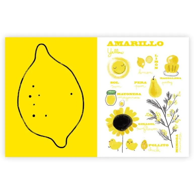 Los colores del señor Bear