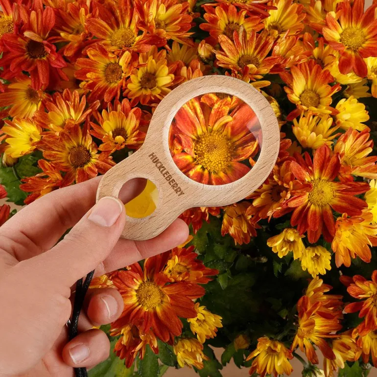 Lupa doble madera aumentos 5x y 10x Huckleberry