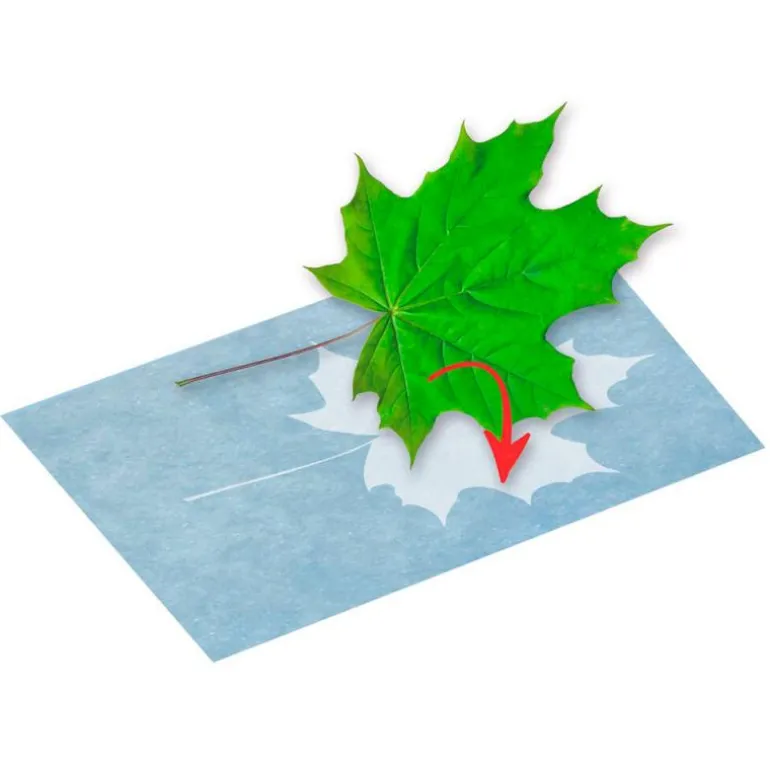 Papel para impresión solar set 10 hojas