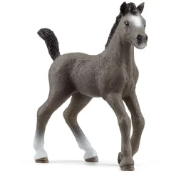 Potro Cheval de Selle Français. Schleich