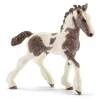 Potro Tinker. Schleich