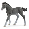 Potro Trakehner. Schleich