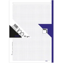 Recambio A4 cuadro 5mm. 100 hojas 4 taladros borde violeta