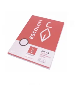 Recambio folio 2 taladros 100 hojas con margen