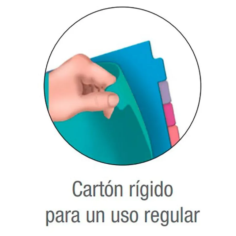 Separadores de colores tamaño A4 10 posiciones