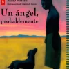 Un Ángel Probablemente